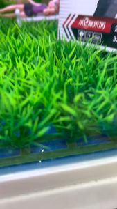 หญ้าปลอม หญ้าเทียม หญ้าพลาสติกปูพื้น ตกแต่งตู้ปลา 1แผ่น ขนาด 20x20 cm ตัดแต่งได้