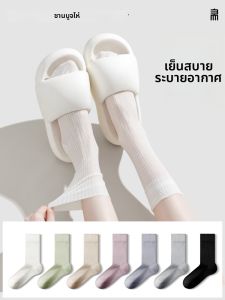 SANBUZHAI | Summer Breathable Transparent Striped Mid-calf Pile Socks