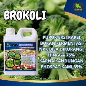 INTERFARM POC Booster - Pupuk Cair Organik untuk Tomat & Brokoli - Kaya Karbon Atkbiotik
