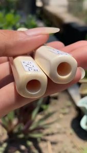 Pipa Gading Asli Lokal Panjang 12cm Model Segilapan Mulus