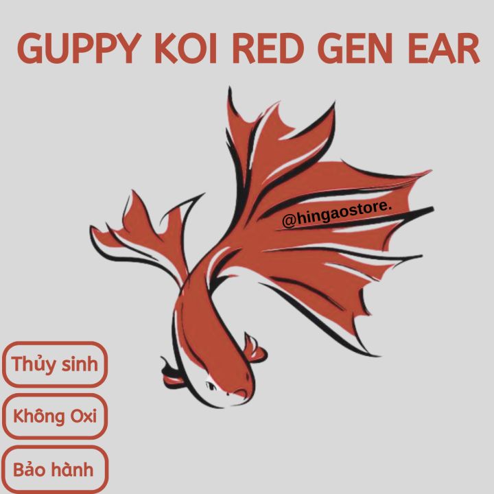 Cám viên dán hồ SMALL FISH YEE kích màu cá cảnh - Thức ăn cho cá, tép ...