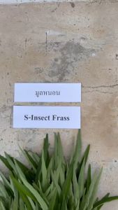 มูลแมลงโปรตีน Black Soldier Fly (BSF) 100% ขนาด 400g. ผลิตจากธรรมชาติ