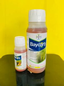 Baycarb Insektisida racun kontak dari Bayer. joss tenann!!
