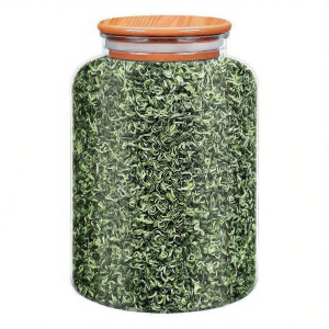 Trà Xanh Bi Luo Chun Từ Núi Cao Thật 500g
