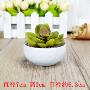 Fashionable European White Porcelain Ceramic Succulent Planters Mini Cute Personalized Flower Pots round Shape Desktop Decor