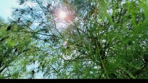 Makapal Waterproof canvas 3x5m4x5m Tarpaulin sheet Camping kanvas khemah (With Holes )Send rope Truck high quality tarpaulin Tricycle sunshade