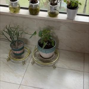 DIHUANTUO | Indoor Outdoor Floor Iron Flower Stand