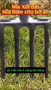 🌿 Nĩa 4 Răng Đào gừng tỏi hành tây đậu phộng – Nĩa Rơm Cho Bò Ăn Dụng Cụ Nông Nghiệp Không Thể Thiếu Cho Nhà Nông