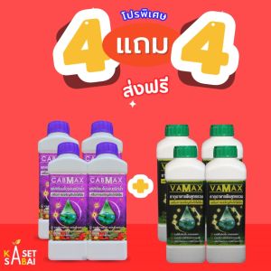 {โปรพิเศษ} ซื้อ 4 แถม 4 (CABMAX แคลเซียมโบรอน + VAMAX ปุ๋ยธาตุรวม) ส่งฟรี ขึ้นทะเบียนจากกรมวิชาการเกษตร **พร้อมส่ง**