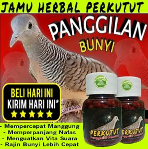 PROMO!!! JAMU PERKUTUT EXTRA ISI 100 BUTIR penggacor pekutut puter tekukur pil apbn prbiotic obat cepat gacor jamu perkutut bangkok dan lokal malas bunyi vitamin burung puter derkuku tekukur pil sarang burung walet sangkar pakan burung manggung bocor jpj