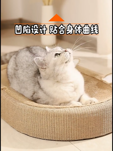 🧶 หมวดหมู่แผงขูดเล็บแมวใหญ่สุดพิเศษ! โครงสร้างถักแน่นแบบตกตะเข็บ ตกเบาะไม่หลุด ไม่ว่าฤดูไหนก็ใช้ได้ดี 🐱 เหมาะสำหรับนอนสบายๆ หรือเกามือก็ดี