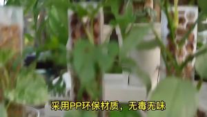 3PCS Plastic Moss Pole Plant Stakes Extending for Training Indoor Climbing Plants Such as Monstera to Grow Upwards