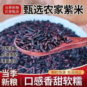 25-Year Old Fresh Purple Sticky Rice 2.5kg