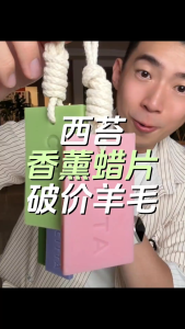 [✅SG Ready Stock] CITTA Wardrobe Freshener Aromatherapy Wax Tablet Wardrobe Scented Gypsum Wardrobe Freshener CITTA Morning Mist Aromatherapy Diffuser - Elegant Home Fragrance with Floral & Citrus Scent