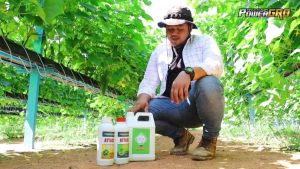 PowerGRO Baja Mesra Alam – Kuatkan Akar Suburkan Pokok 100% Organik