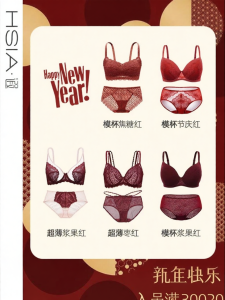 HSIA | Invisible Breast Reducing Bra Set