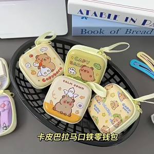 Mini Portable Coin Purse and Key Ring
