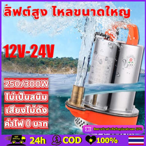 DC Pump สแตนเลส ปั๊มจุ่ม ปั๊มน้ำไดโว่ฐานเหล็ก ท่อออก 1นิ้ว12V/24V 300W ไดโว่ เจ้าพระยา แรงดันสู แบตเตอรี่ มอเตอร์ทองแดงแท้ 100% โซล่าเซลล์ (ไดร์โว่ดูดน้ำ 12v ปั๊มน้ำ เครื่องสูบน้ำ ปั้มน้ำโซล ไม่รวมแผงโซลาร์เซลล์และคลิป)