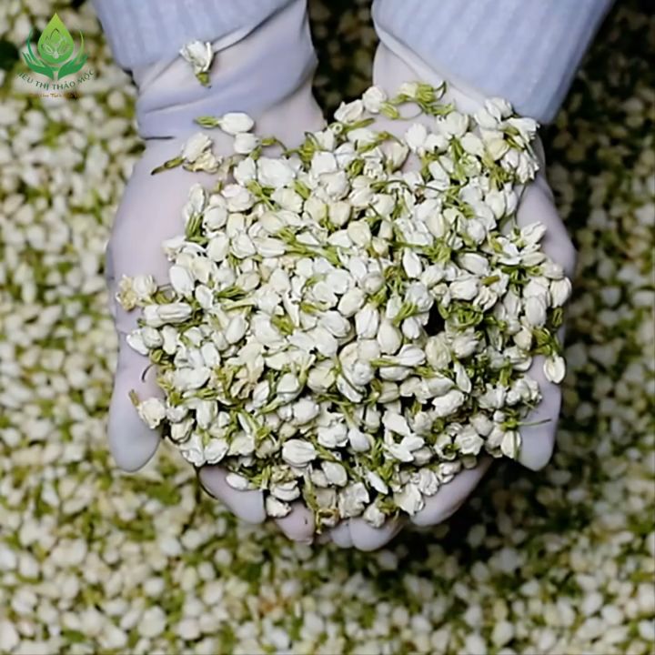 [HÀNG THƯỢNG HẠNG] Trà Hoa Nhài (Hoa Lài) 100gr Sấy Khô Nguyên Bông ...