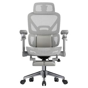 SAMEDREAM | Ergonomic Comfortable Computer Chair