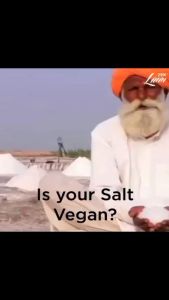 Lunn Himalayan Pink Rock Salt Grinder 100g - Vegan & All-Natural Salt for Daily Cooking