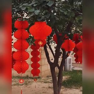 Combo 100 Đèn Lồng Đỏ mini treo trang trí lễ tết phong cách trung hoa chất liệu chống nước sẵn đủ size