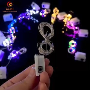 WINPH（Built-in battery）1M/2M/3M LED string lights 3 modes water-proof Bouquet Christmas gift decorative lights