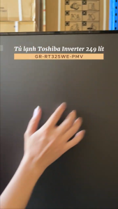 Tủ Lạnh Toshiba Inverter 249 lít GR-RT325WE-PMV(06)-MG - Bảo Hành 24 Tháng
