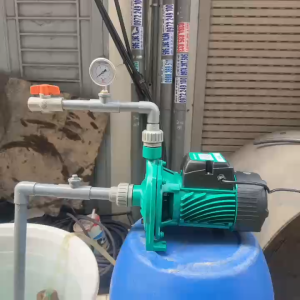 Máy bơm đĩa 1.1Kw (1.5HP) Cánh Đồng Taifu TCP170 - Máy bơm nước ly tâm hút giếng khoan giếng đào...