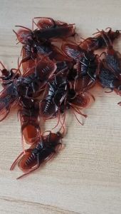 20Pcs Prank Toy Simulation Crawling insect Cockroach Centipede Scorpion Snake Weird Toys Lootbag Filler / Paninda