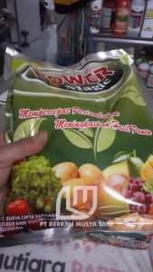 Pupuk Power Magic Growth Stimulant 1 Kg Original SPN
