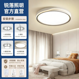 RUILUO | Modern Simple Full Spectrum Eye-protection Super Bright Ceiling Light