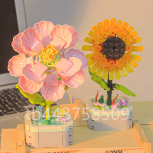 JINGQING | Educational Building Blocks Bouquet