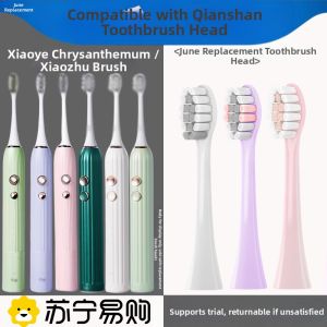 Soft Bristle Electric Toothbrush Head Compatible with Manfrotto KJ at the Beginning of June Small Bamboo Brush Wild Chrysanthemum