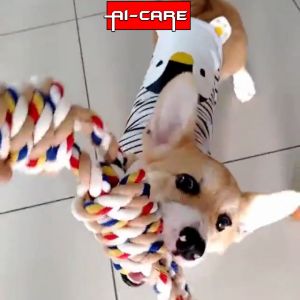 READY STOCK 60CM Pets Toys 8 Knot Molar Bite Rope Dog Toy for Rottweiler Golden Retriever Medium Size Pet Chew Toy