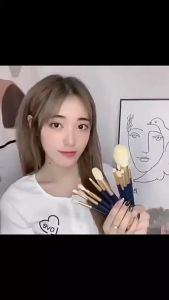 แปรงเครื่องสำอาง 12 ชิ้น ลายดาว ชุดแปรงแต่งหน้า แปรงแต่งหน้ามืออาชีพ Brush Set แปรงแต่งหน้าชุด ขนนุ่ม