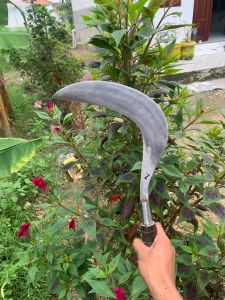 arit sabit cap Z super mantap