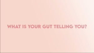 Shaklee Prebiotic + Probiotic Raspberry Fruit Drink Premix 30 Sticks 嘉康利