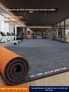 Smefy | Anti-shock and Noise-reducing TPE Gym Mat