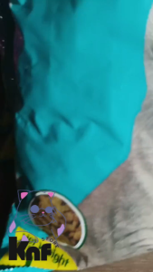 pakan kucing lezato 1kg rasa salmon & tuna