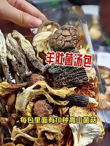 FANZUZHEN | Wild Dried Mushroom Soup Kit