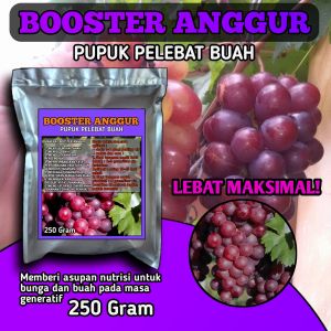 Pupuk organik pelebat buah anggur nutrisi untuk buah dan sayur bisa cod termurah kemasan 250 gram