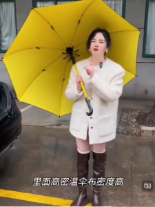 ROYALBELLE Enlarged Size Golf Straight/Curve Long-Handle Umbrella Windproof Payong With Waterproof Drip Case Payung Oversized