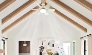 Ceiling Fan With Lights Remote Control for Living Room 40W Ceiling Fan 3 Color Silent 3 Speed Wind 6 Blades Timer Inverter Electric Fan