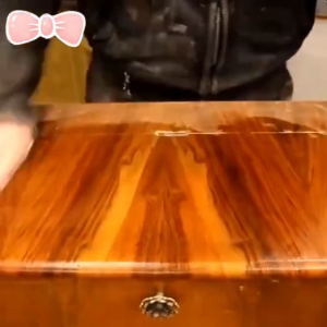 Natural Furniture Wax Furniture care brightening & polishing/Anti ageing &cracked 家具蜡家具护理亮化抛光/抗老化开裂/天然