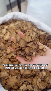 Hà thủ ô đỏ thái lát 500g hàng chưa chế khô sạch thơm - Chợ Thảo Dược Việt