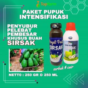 Pupuk Cepat Buah Sirsak: Solusi Optimal untuk Pertumbuhan Tanaman