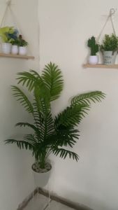 DAUN PALEM JUMBO POHON PAKIS ARTIFICIAL DAUN PAKIS PLASTIK BUNGA HIAS PALSU DEKORASI TANAMAN HIAS RUMAH BAYAR DI TEMPAT