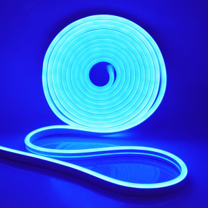 แถบนีออน DC 12V IP65 กันน้ํา 2835 120 LEDs/M สีขาว/สีฟ้า/สีชมพู/สีเหลือง/สีแดง/สีเขียวริบบิ้นเชือก LED Strip 0.5M 1M 3M 5M