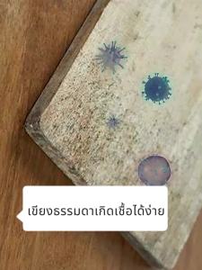 【รับประกัน 10 ปี】เขียง เขียงสแตนเลส Chopping Board pp+สแตนเลสเกรดอาหาร316 ต้านเชื้อแบคทีเรียที่ แข็งแกร่ง99.99% cutting board เขียง เขียงหั่น ใช้ได้ทั้ง2ด้าน มาพร้อมเครื่องบด กันการรั่วไหล การออกแบบยืน สแตนเลสเขียง สําหรับหั่นผัก เนื้อสัตว์ เขียงสเตนเลส